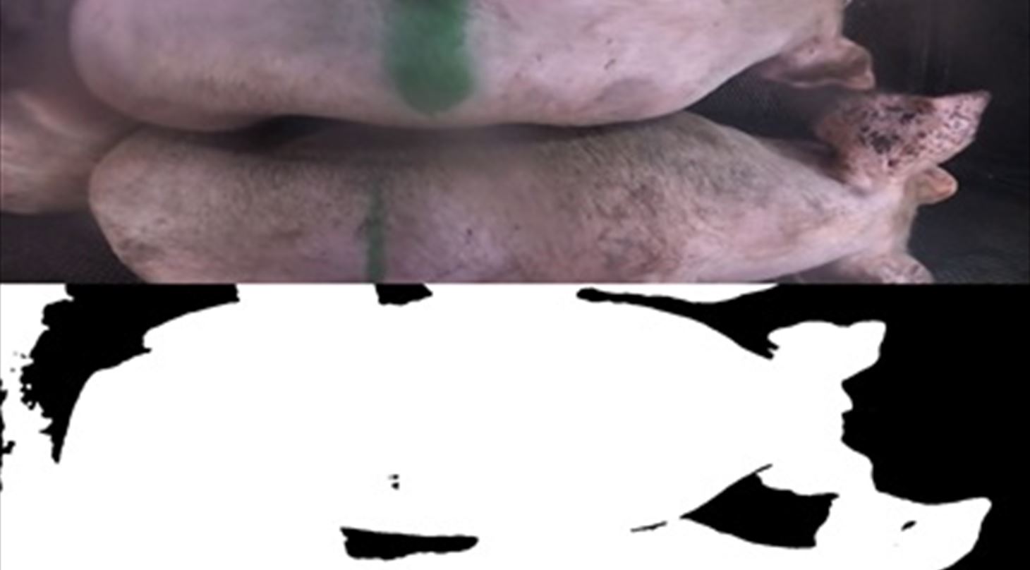 1.2.1 AI based monitoring of the stunning.jpg